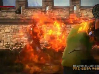 The Witcher 2 Assassins of Kings fight & minigames