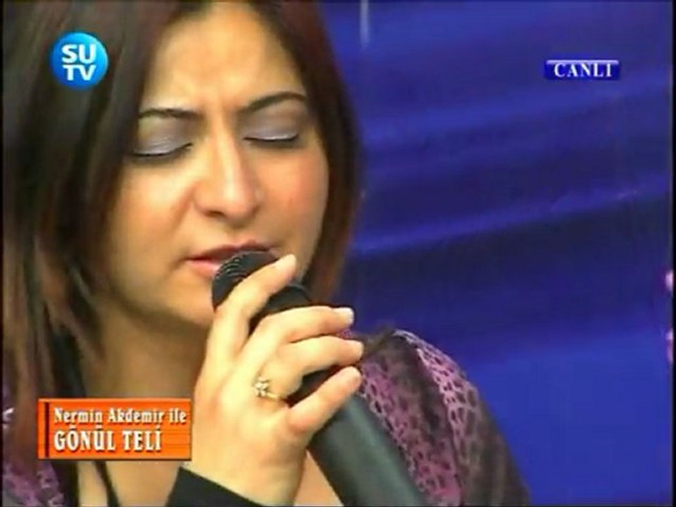 Nermin akdemir