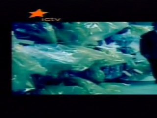 СТОП 10. О попугаях.