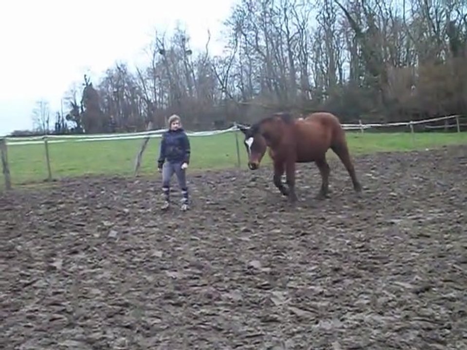 Perle et moi