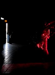 Catherine les ailes d'Isis