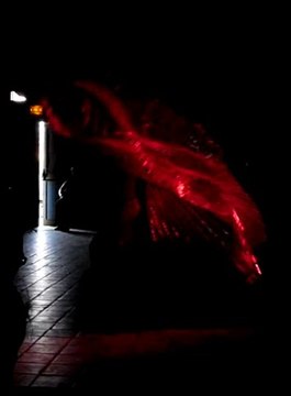 Catherine GUERIN les ailes d'Isis