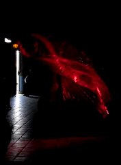 Catherine GUERIN les ailes d'Isis