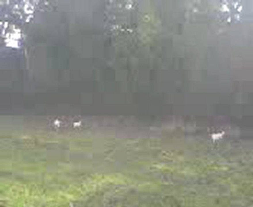 MOV0012A