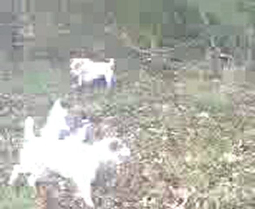 MOV0013A