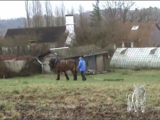 Passage de la herse au  domaine du Beau-Site, Genval