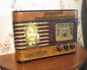 Warda ♥ ♫ ♥ Laya Ya Bnaya