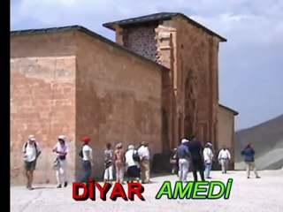 DİYAR AMEDİ (JİYANA AZAD)