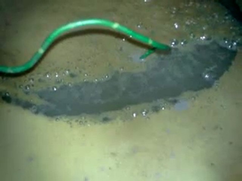 essai bain a éléctrolyse aprés 5min 12v 5amp