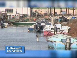 L'herault en action - Ostreiculteur Marseillan