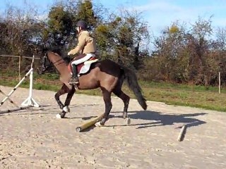 barre au sol croisillon