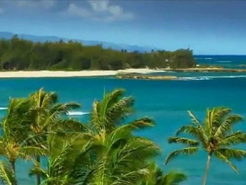 Saba Kanun Taksimi - Musiki Dergahı - 1920 x 1080 px.HD