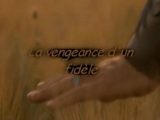 [MMV]Gladiator - La vengeance d'un fidèle{Denryu}