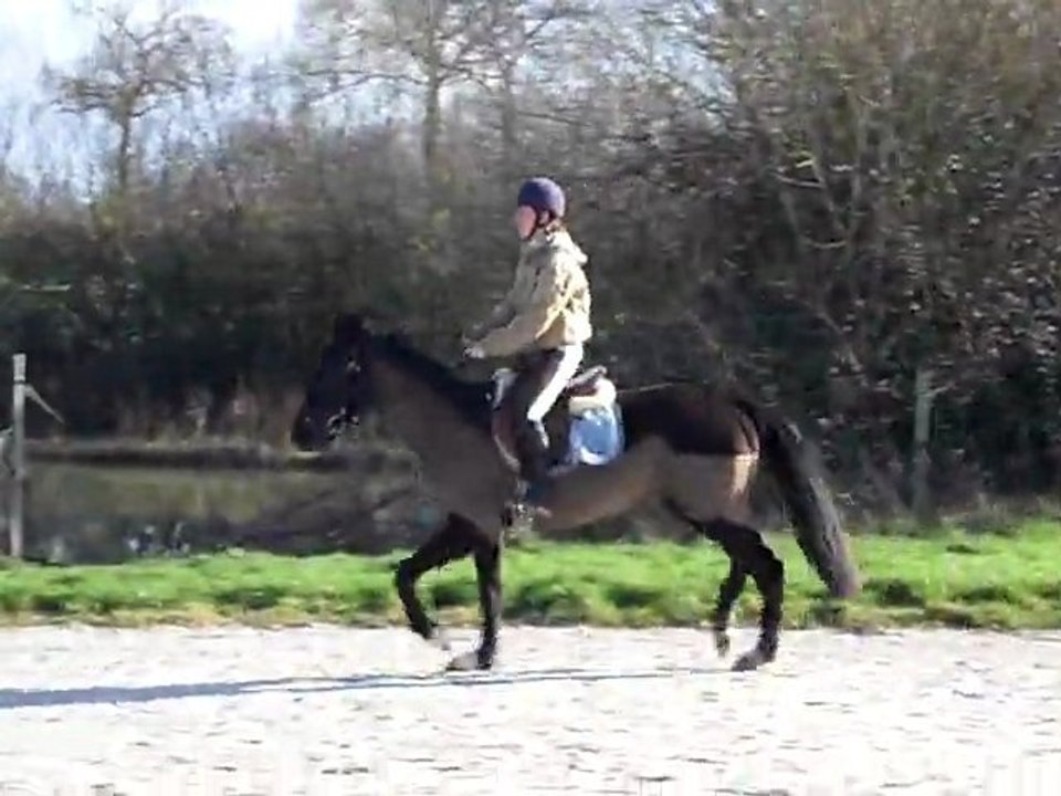 toscane obstacle