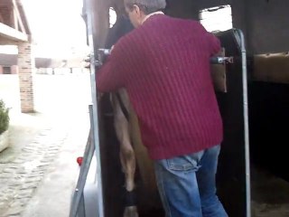 Pistolero qui monte dans le van.