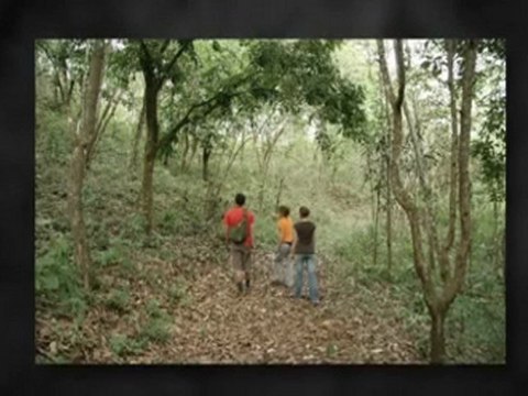 Costa Rica Activities