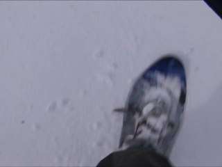 La cellisca, ventisca, La pernía, montaña palentina.