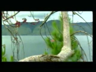 MAGNIFIQUE  !!!!   YA SAYYIDI YA RASULALLAH !!!!