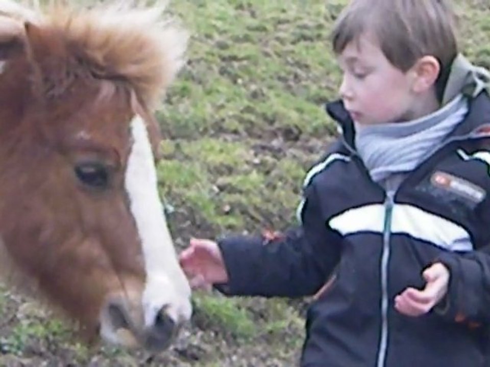 Faustyn qui nourrit Cheyenne la ponnette