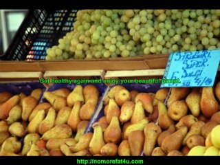 Weight Loss For Optimal Health