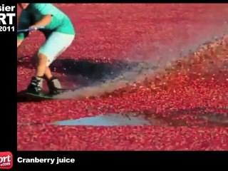 Le Bêtisier fait du Sport du 27 février 2011