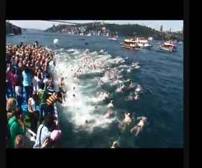 Bogazici Yarısları 2010 / Bosphorus Cross Continental 2010