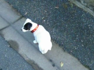 Première balade d'Eden