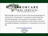 New Jersey Tree Removal-Best Tree Removal New Jersey