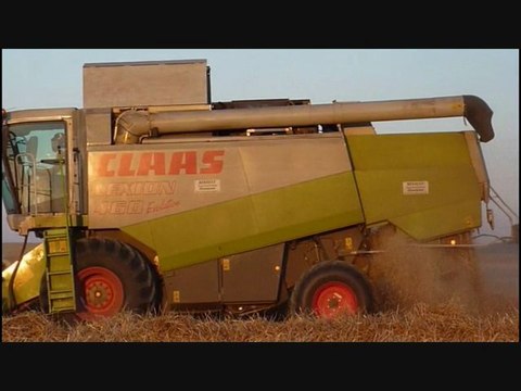 Moisson du blé / Harvest of wheat with Lexion 600 and 460
