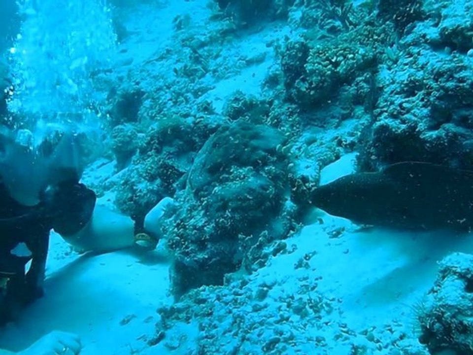 marc murenne aux maldives