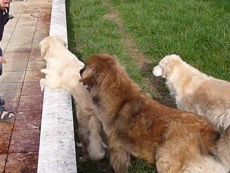 enka 02-2011- P1000022