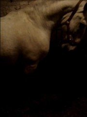 villano début du pas espagnol