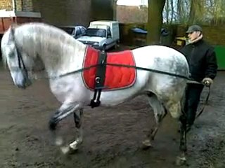 villano longue rénes pas espagnol étape 1