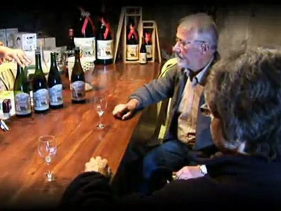 Cuvées de vin de Chinon rouge à Crouzilles