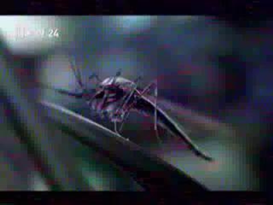 Les moustiques de la pub X-Box