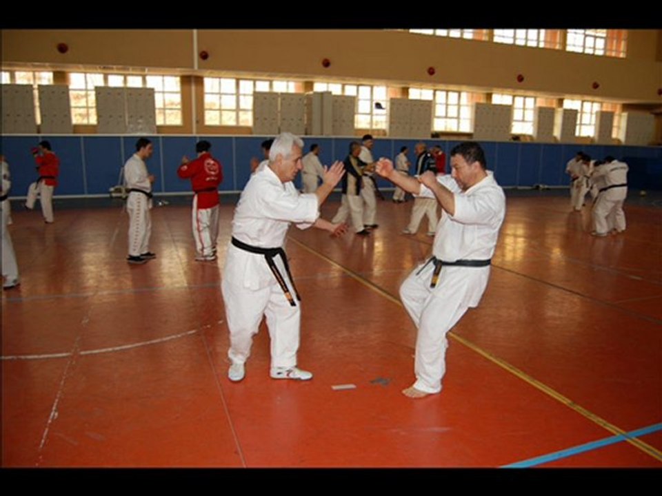 KAJUKENBO TURKEY 9 - PART - 2