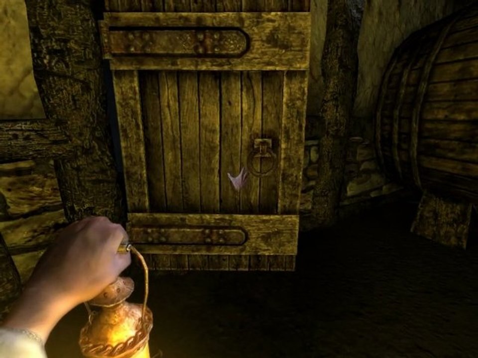 Amnesia 2011-02-28 13-47-47-21Raptor