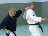 Ju jitsu évolutif techniques d'entrainement