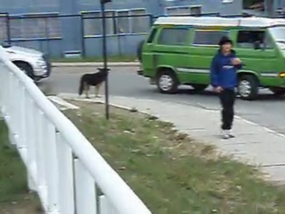 PSR MARCHA POR  LA PATAGONIA SIN REPRESAS