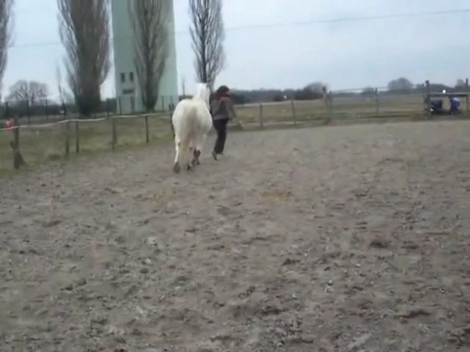 Sandily  & Alexia ..