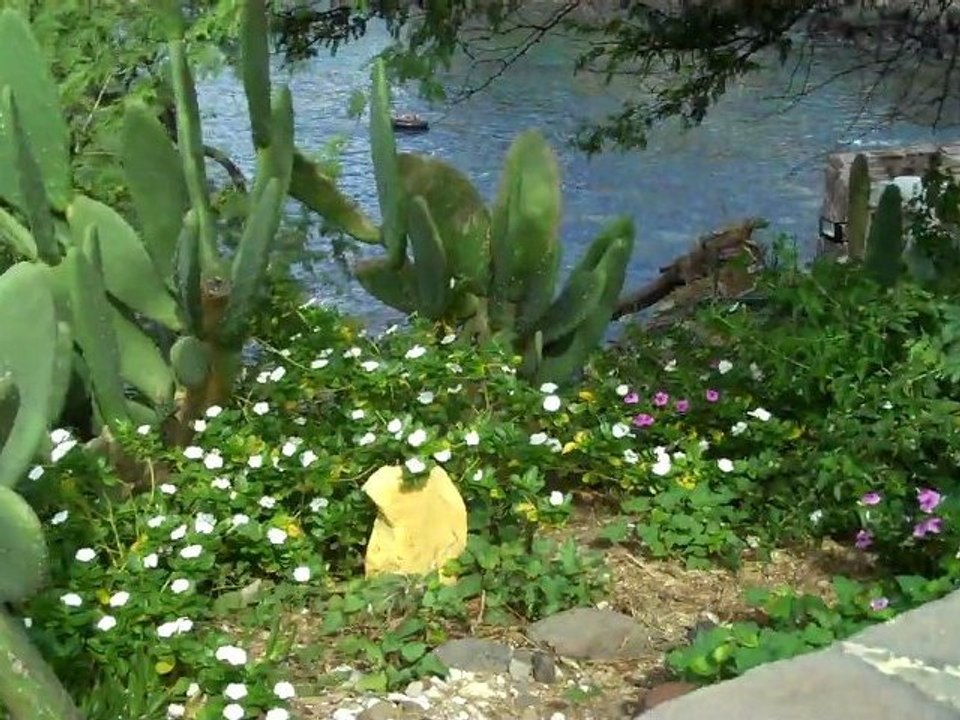 MPB TODAY-FREE gas and FREE groceries