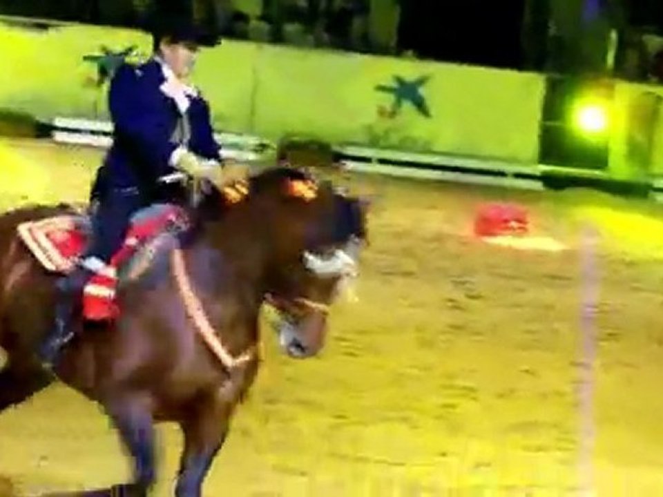 Espectaculo-sicab-2010