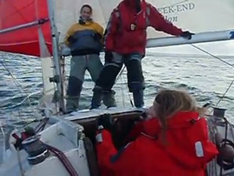 Islandais 1 sous spi