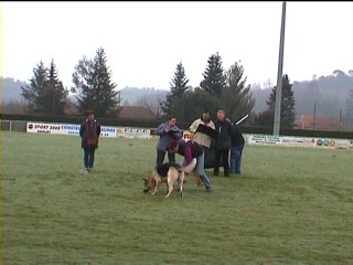 Fadist championnat de france de cavage 2011