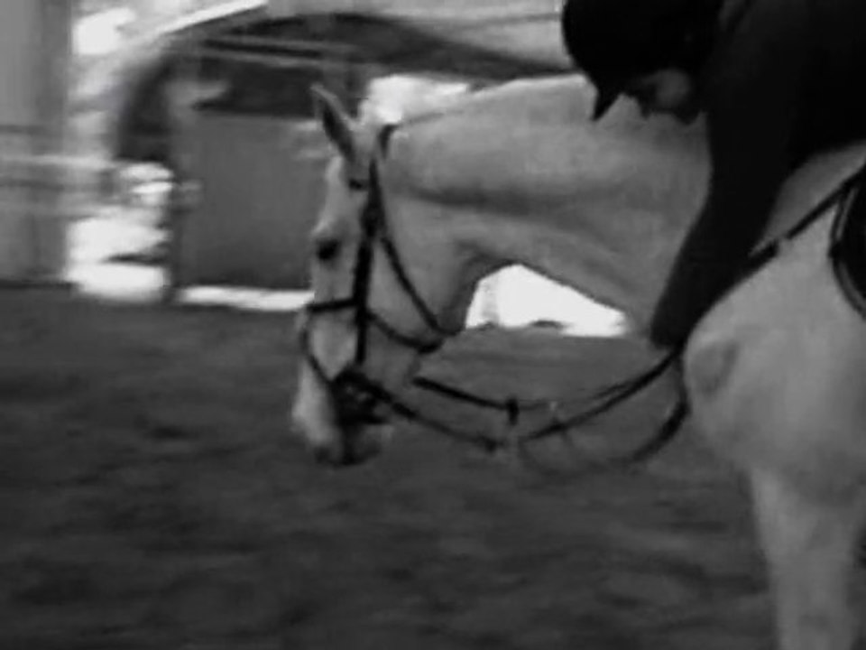 - 730 Jours; Deux Merveilleuses Années À tes Côtés !