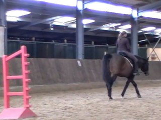 Don Fire diriger au pas rênes longues