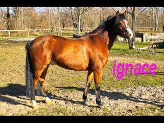 mon histoire a coolus