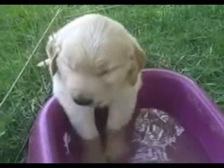 L'eau Dans Le Jeu Video Part 3 Moggy Aspi Show