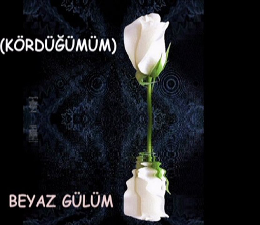(KÖRDÜĞÜMÜM & SHAKESPEARE)