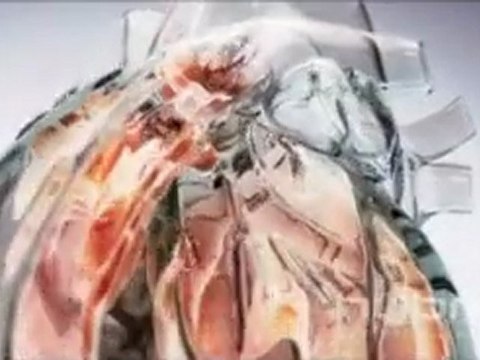 Hybrid glass heart animation.